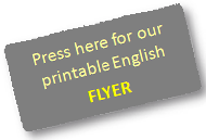 Dylos DC1100 flyer