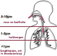 fijnstof deeltjesgrootte